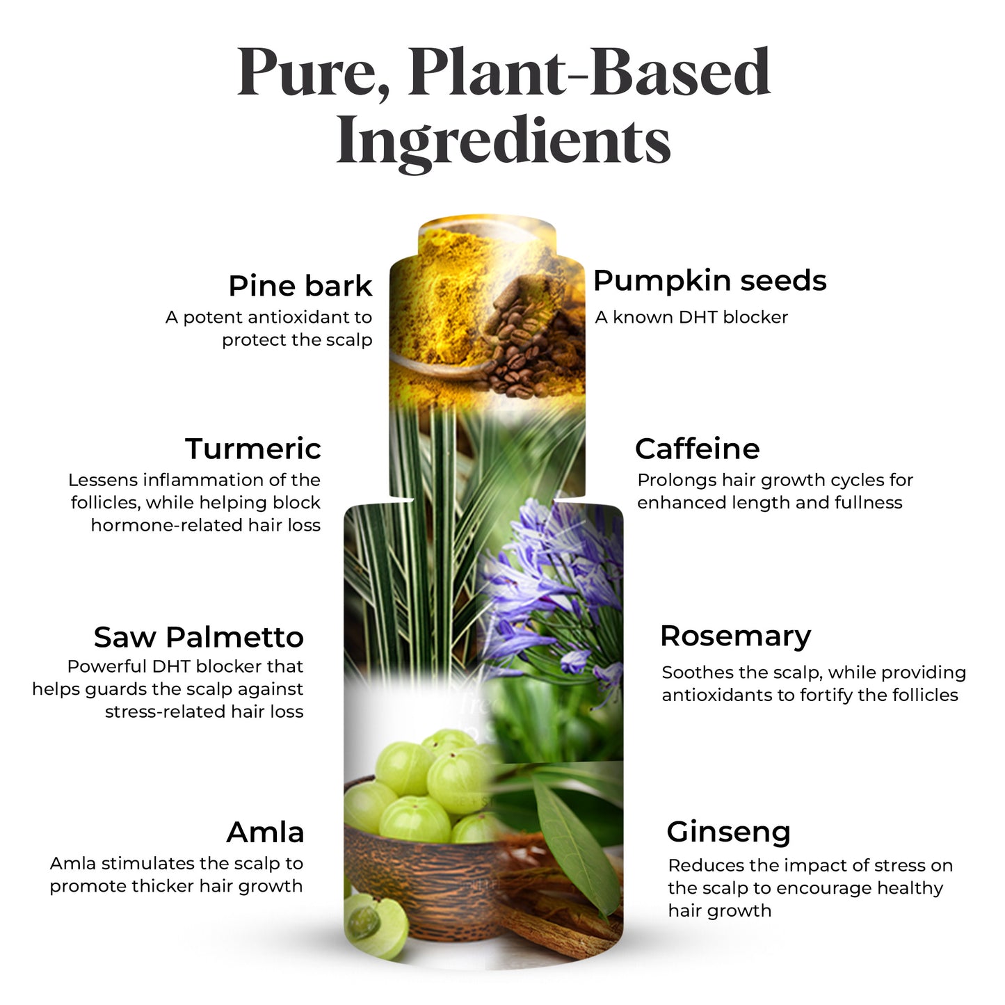 The Treatment Scalp Serum