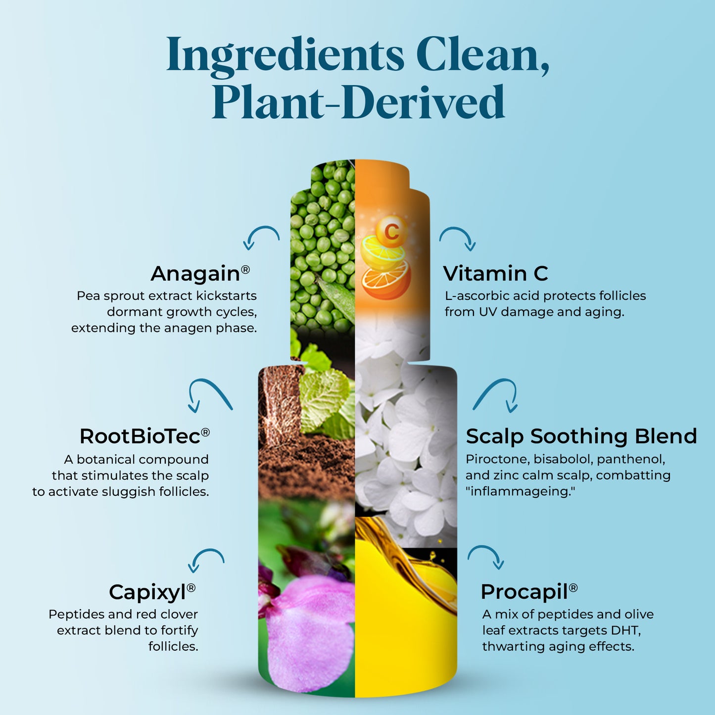 The Prevention Scalp Serum